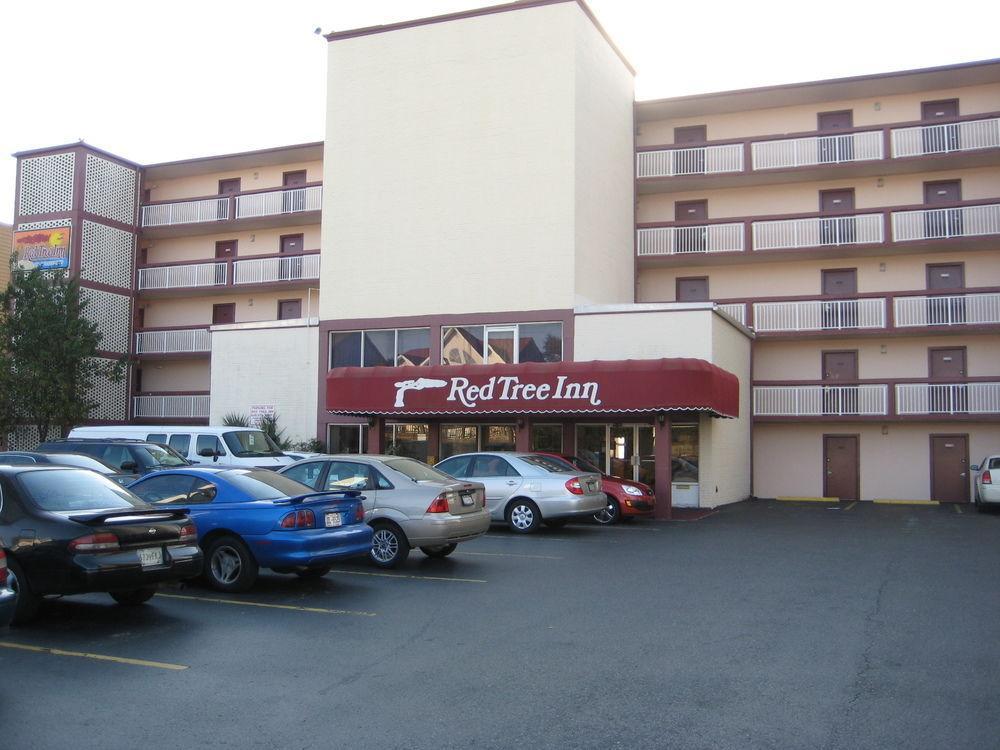 The Red Tree Inn Myrtle Beach Exterior photo